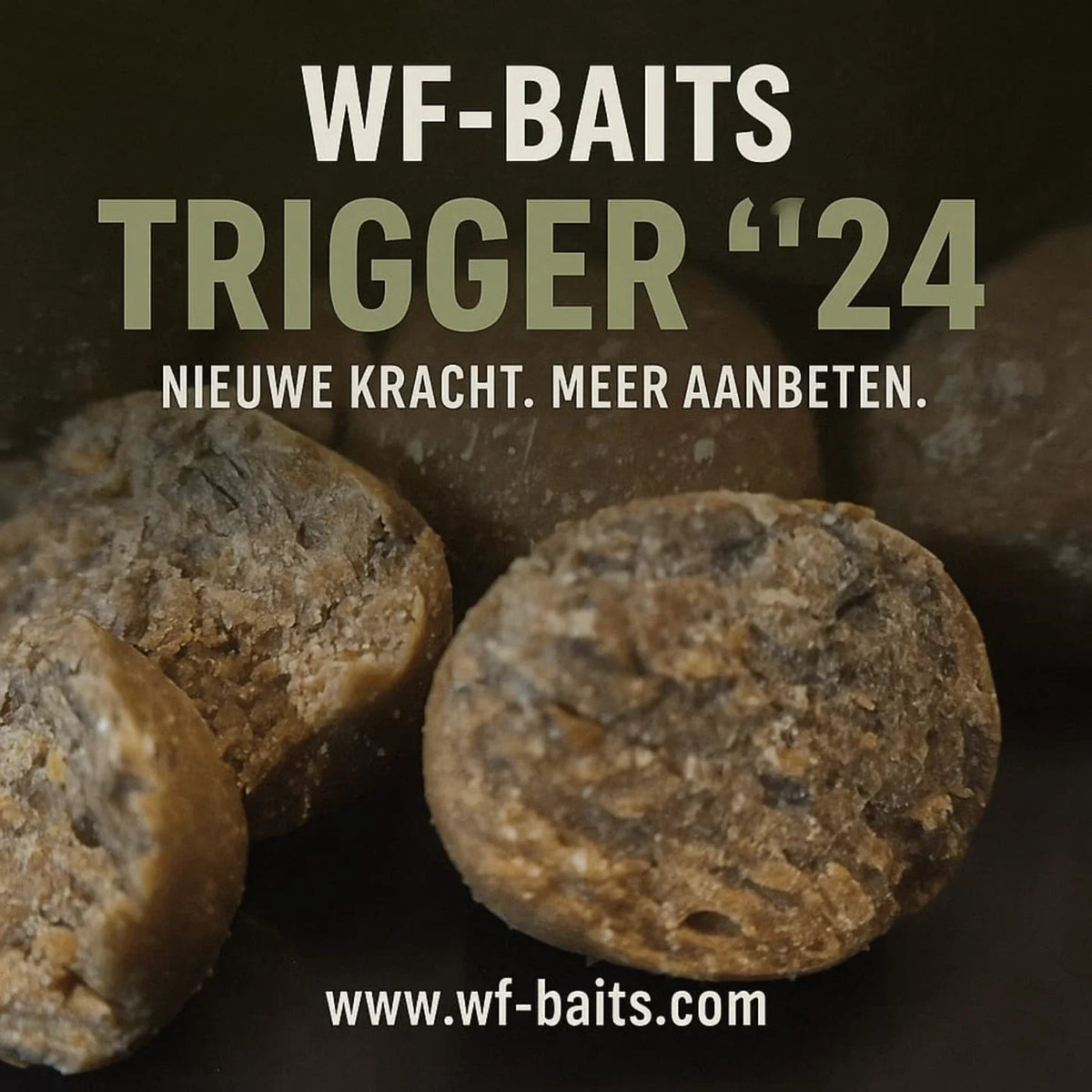 boilies