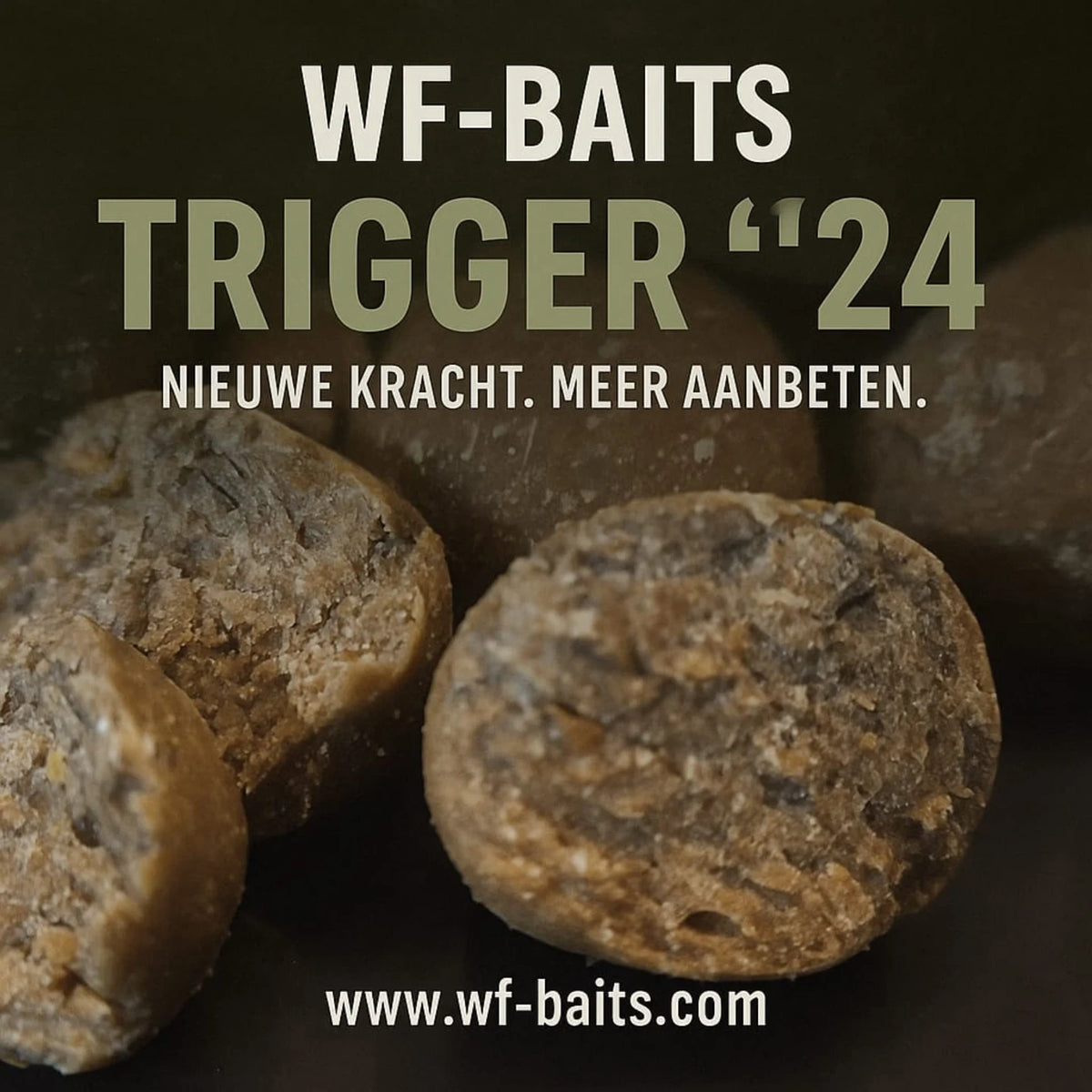 Trigger 24 boilie